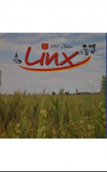Linx – 875 Jahre